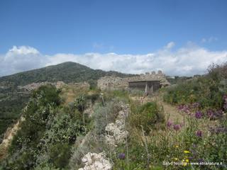 stello di Pentefur-27-04-2016 22-29-11